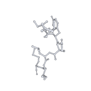 17619_8pdr_Q_v1-1
Rigid body fit of assembled HMPV N-RNA spiral bound to the C-terminal region of P