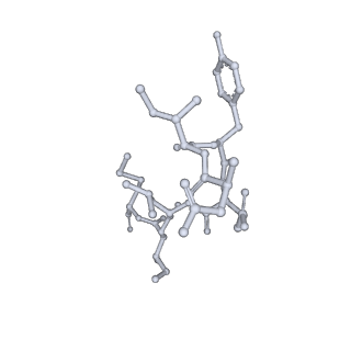 17619_8pdr_R_v1-1
Rigid body fit of assembled HMPV N-RNA spiral bound to the C-terminal region of P