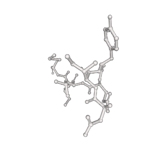 17619_8pdr_S_v1-1
Rigid body fit of assembled HMPV N-RNA spiral bound to the C-terminal region of P