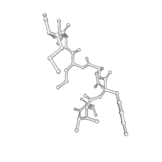 17619_8pdr_V_v1-1
Rigid body fit of assembled HMPV N-RNA spiral bound to the C-terminal region of P