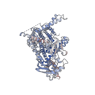 17621_8pdu_B_v1-1
cGMP-bound SpSLC9C1 in lipid nanodiscs, dimer