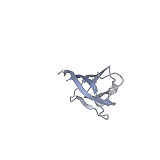 17627_8pdz_b_v1-0
Recombinant Ena3A L-Type endospore appendages
