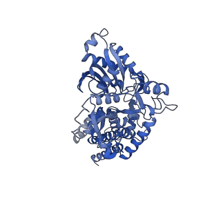 20309_6pdt_B_v1-1
cryoEM structure of yeast glucokinase filament