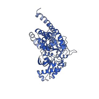 20309_6pdt_C_v1-1
cryoEM structure of yeast glucokinase filament