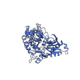 20309_6pdt_D_v1-1
cryoEM structure of yeast glucokinase filament