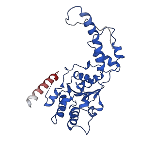 20318_6pdw_C_v1-1
Msp1-substrate complex in closed conformation