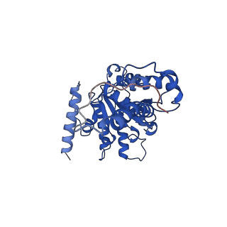 20318_6pdw_D_v1-0
Msp1-substrate complex in closed conformation