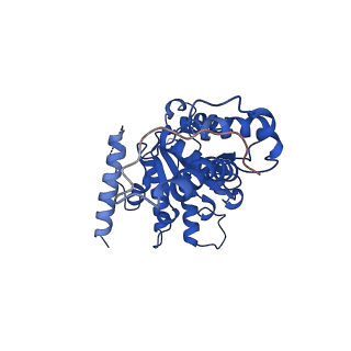 20318_6pdw_D_v1-1
Msp1-substrate complex in closed conformation