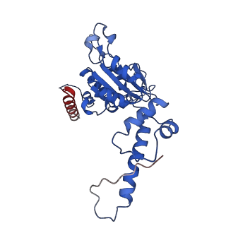 20318_6pdw_E_v1-0
Msp1-substrate complex in closed conformation