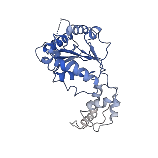 20318_6pdw_F_v1-0
Msp1-substrate complex in closed conformation