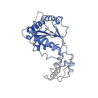 20318_6pdw_F_v1-1
Msp1-substrate complex in closed conformation