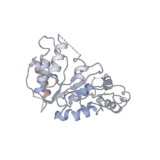 20319_6pdy_A_v1-0
Msp1-substrate complex in open conformation