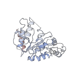 20319_6pdy_A_v1-1
Msp1-substrate complex in open conformation