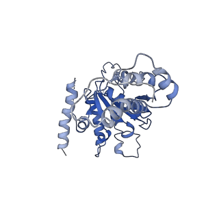 20319_6pdy_D_v1-0
Msp1-substrate complex in open conformation