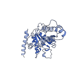 20319_6pdy_D_v1-1
Msp1-substrate complex in open conformation