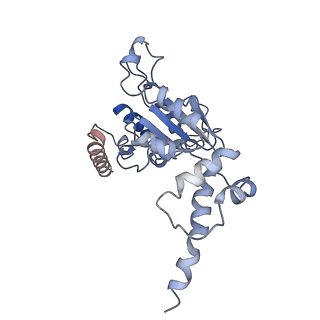 20319_6pdy_E_v1-0
Msp1-substrate complex in open conformation