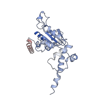 20319_6pdy_E_v1-1
Msp1-substrate complex in open conformation