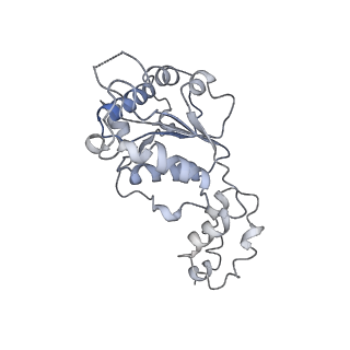 20319_6pdy_F_v1-0
Msp1-substrate complex in open conformation