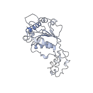 20319_6pdy_F_v1-1
Msp1-substrate complex in open conformation