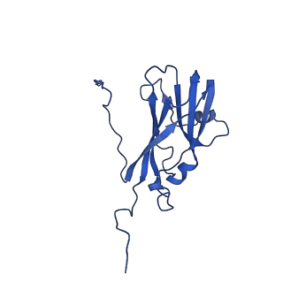 13344_7pe1_AA_v1-1
Cryo-EM structure of BMV-derived VLP expressed in E. coli and assembled in the presence of tRNA (tVLP)