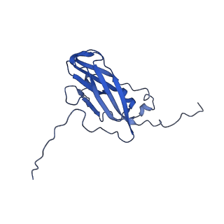 13344_7pe1_AC_v1-1
Cryo-EM structure of BMV-derived VLP expressed in E. coli and assembled in the presence of tRNA (tVLP)