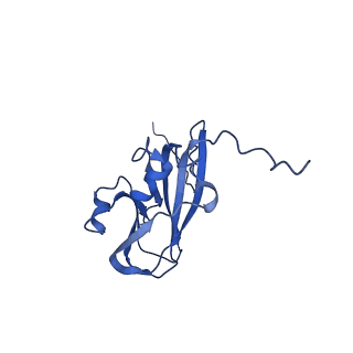 13344_7pe1_AD_v1-1
Cryo-EM structure of BMV-derived VLP expressed in E. coli and assembled in the presence of tRNA (tVLP)