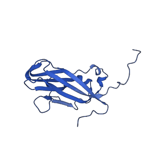 13344_7pe1_AE_v1-1
Cryo-EM structure of BMV-derived VLP expressed in E. coli and assembled in the presence of tRNA (tVLP)