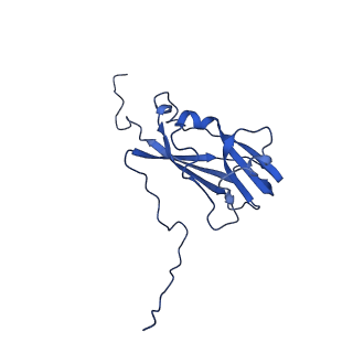 13344_7pe1_AF_v1-1
Cryo-EM structure of BMV-derived VLP expressed in E. coli and assembled in the presence of tRNA (tVLP)