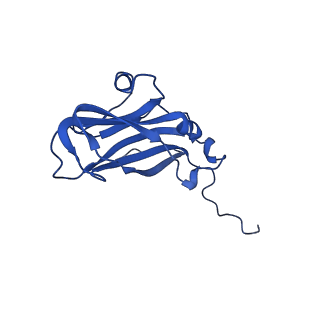 13344_7pe1_A_v1-1
Cryo-EM structure of BMV-derived VLP expressed in E. coli and assembled in the presence of tRNA (tVLP)