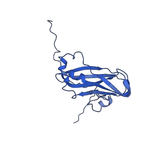 13344_7pe1_BA_v1-1
Cryo-EM structure of BMV-derived VLP expressed in E. coli and assembled in the presence of tRNA (tVLP)