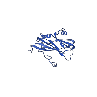 13344_7pe1_BB_v1-1
Cryo-EM structure of BMV-derived VLP expressed in E. coli and assembled in the presence of tRNA (tVLP)