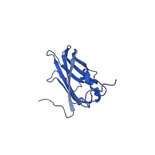 13344_7pe1_BC_v1-1
Cryo-EM structure of BMV-derived VLP expressed in E. coli and assembled in the presence of tRNA (tVLP)