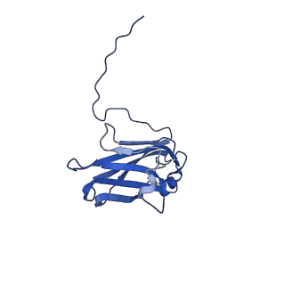 13344_7pe1_BD_v1-1
Cryo-EM structure of BMV-derived VLP expressed in E. coli and assembled in the presence of tRNA (tVLP)