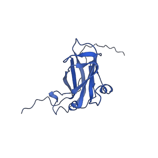 13344_7pe1_B_v1-1
Cryo-EM structure of BMV-derived VLP expressed in E. coli and assembled in the presence of tRNA (tVLP)