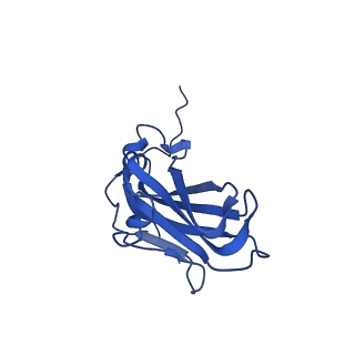 13344_7pe1_CA_v1-1
Cryo-EM structure of BMV-derived VLP expressed in E. coli and assembled in the presence of tRNA (tVLP)