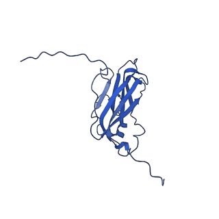 13344_7pe1_CB_v1-1
Cryo-EM structure of BMV-derived VLP expressed in E. coli and assembled in the presence of tRNA (tVLP)