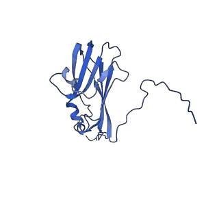 13344_7pe1_CE_v1-1
Cryo-EM structure of BMV-derived VLP expressed in E. coli and assembled in the presence of tRNA (tVLP)