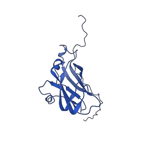 13344_7pe1_C_v1-1
Cryo-EM structure of BMV-derived VLP expressed in E. coli and assembled in the presence of tRNA (tVLP)