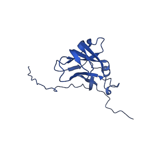 13344_7pe1_DA_v1-1
Cryo-EM structure of BMV-derived VLP expressed in E. coli and assembled in the presence of tRNA (tVLP)