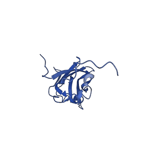 13344_7pe1_DB_v1-1
Cryo-EM structure of BMV-derived VLP expressed in E. coli and assembled in the presence of tRNA (tVLP)