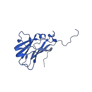 13344_7pe1_D_v1-1
Cryo-EM structure of BMV-derived VLP expressed in E. coli and assembled in the presence of tRNA (tVLP)