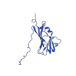 13344_7pe1_EB_v1-1
Cryo-EM structure of BMV-derived VLP expressed in E. coli and assembled in the presence of tRNA (tVLP)