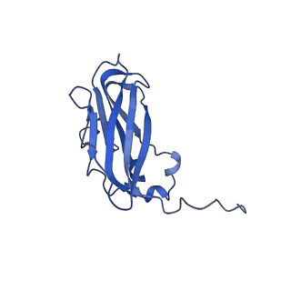 13344_7pe1_EC_v1-1
Cryo-EM structure of BMV-derived VLP expressed in E. coli and assembled in the presence of tRNA (tVLP)