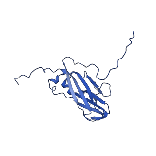 13344_7pe1_ED_v1-1
Cryo-EM structure of BMV-derived VLP expressed in E. coli and assembled in the presence of tRNA (tVLP)