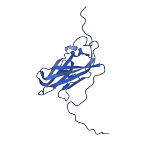 13344_7pe1_EE_v1-1
Cryo-EM structure of BMV-derived VLP expressed in E. coli and assembled in the presence of tRNA (tVLP)
