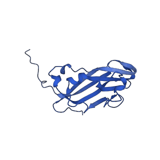 13344_7pe1_EF_v1-1
Cryo-EM structure of BMV-derived VLP expressed in E. coli and assembled in the presence of tRNA (tVLP)