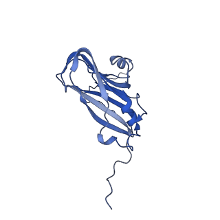 13344_7pe1_E_v1-1
Cryo-EM structure of BMV-derived VLP expressed in E. coli and assembled in the presence of tRNA (tVLP)