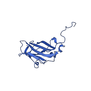 13344_7pe1_FA_v1-1
Cryo-EM structure of BMV-derived VLP expressed in E. coli and assembled in the presence of tRNA (tVLP)