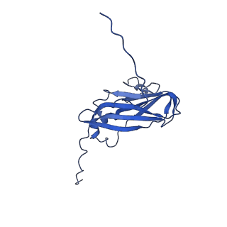 13344_7pe1_FB_v1-1
Cryo-EM structure of BMV-derived VLP expressed in E. coli and assembled in the presence of tRNA (tVLP)