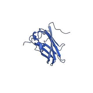13344_7pe1_FD_v1-1
Cryo-EM structure of BMV-derived VLP expressed in E. coli and assembled in the presence of tRNA (tVLP)